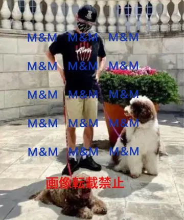 토니 알바 스크래치 로고 티셔츠 L 기무라 타쿠야