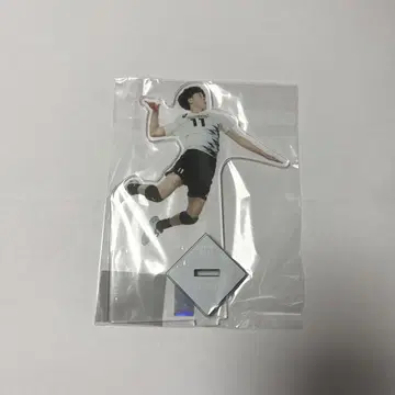 배구 남자 일본 대표 토미타 쇼마 아크릴 스탠드 1