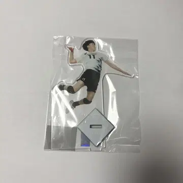 배구 남자 일본 대표 토미타 쇼마 아크릴 스탠드 2
