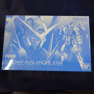 RG 건담 아발란체 엑시아