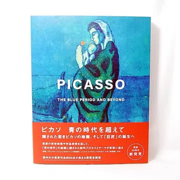 새상품 피카소 청의 시대를 넘어 아트북 폴라 미술관 PICASSO