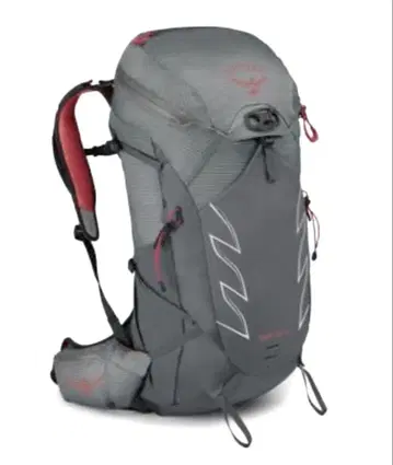 Osprey Talon 30 백팩 그레이