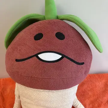 레어 나메코 재배 키트 후타바 점보 BIG 봉제 인형