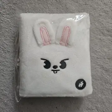 Stray Kids 리노 POPUP 사진 카드 케이스 Leebit