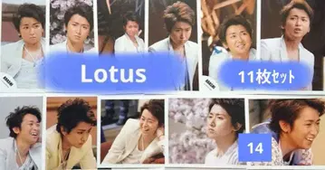 [ 11매 세트 ] 아라시 오노 사토시 공식 사진 14 Lotus1