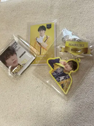 EBiDAN THE LIVE 2024 2025 BUDDiis HARUKI