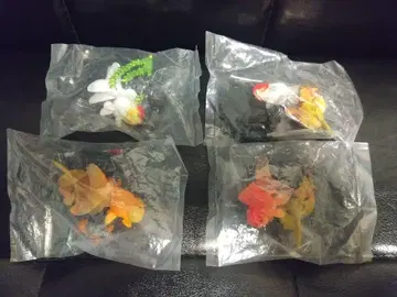 금붕어 금붕어 입체도감 풀 채색 피규어 4종 빔