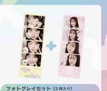 [미개봉 새상품] 오구라 유이 유이스타 포토 그레이 세트 (2매입)