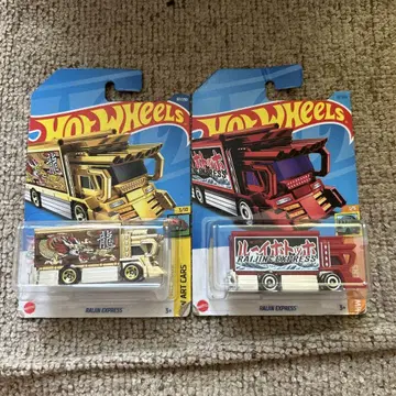 Hot Wheels Raiun Express 라이징 익스프레스 2대 세트