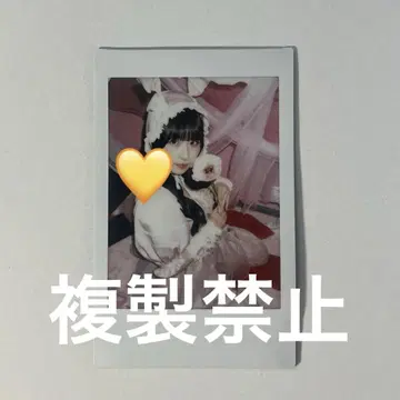 큐루룽 해봐 시마무라 우타 렌체키 랜덤 체키