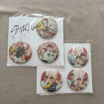 Straykids 스키즈 UNVEIL TOUR 캔배지