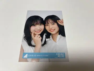 히나타자카46 [ 쇼겐지 요코 후지시마 카호 ] 페어 브로마이드