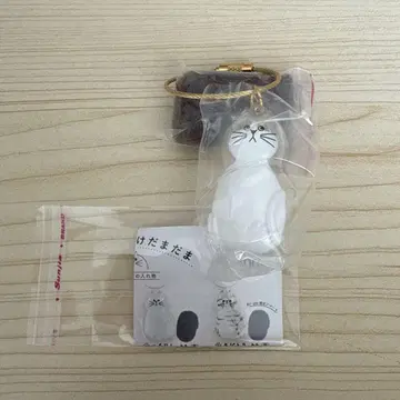 우리 아이 털뭉치 털뭉치 하치와레