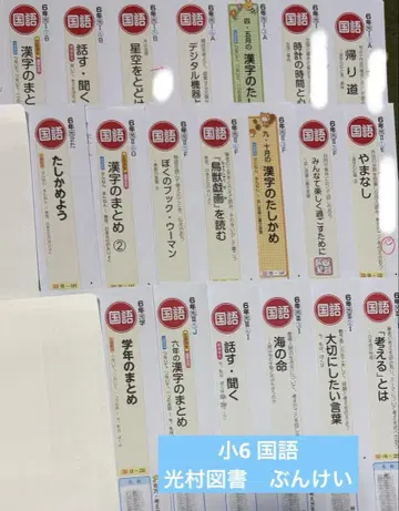 2024학년도 초등학교 6학년 국어 컬러 테스트 분케이 20매