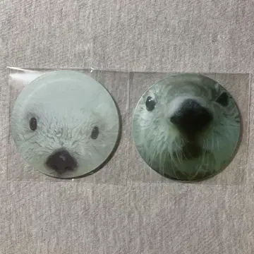 도바 수족관 메이 키라 코스터