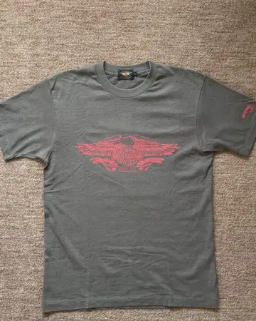Harley-Davidson 바이커 T셔츠 M 사이즈 그레이