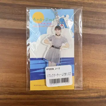 안쥬르므 고토 하나 아크링 키링