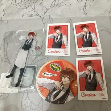 캐머런 아크릴 스탠드와 카드 세트