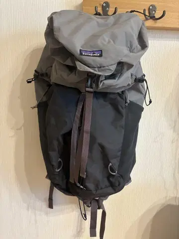 Patagonia 테라비아 팩 28L