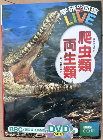 학연, 초등학생 도감 DVD 포함