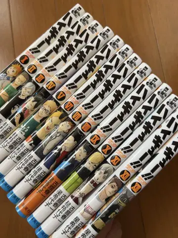 하이큐!! 소설판!! 13권 세트