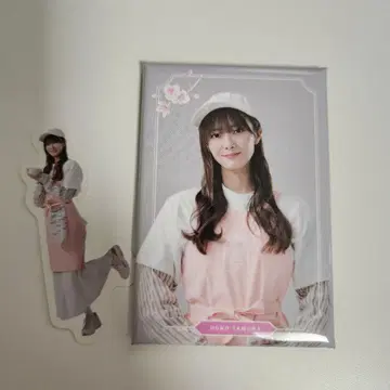 사쿠라자카 카페 타무라 호노 랜덤 캔 마그넷 스티커