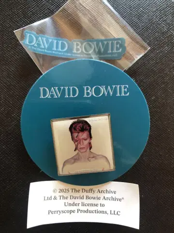 David Bowie 가챠 핀즈 캡슐 Aladdin Sane