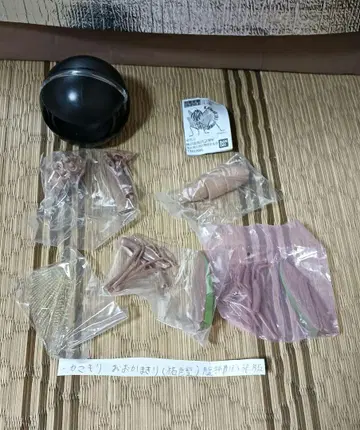 생물대도감 사마귀01 왕사마귀 갈색종 2종 2개체 세트