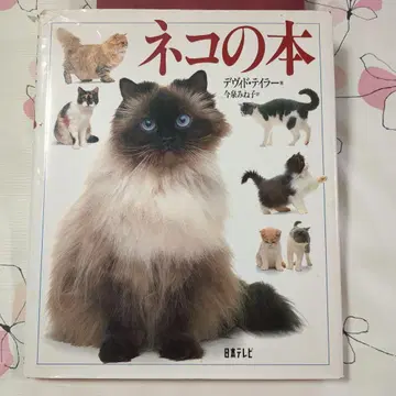 고양이 도서 데이비드 틸러 저