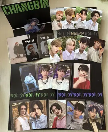 straykids 스트레이 키즈 앨범 noeasy 3 형태 세트 한정판