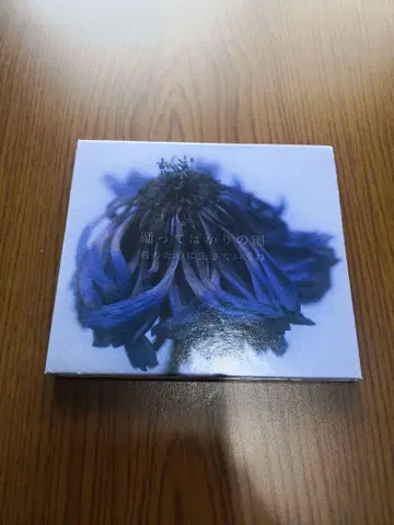 춤만 추는 나라 / 너를 위해 살아갈게