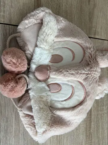 칩과 데일 팬 캡