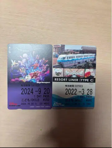 디즈니 리조트 라인 자유 티켓