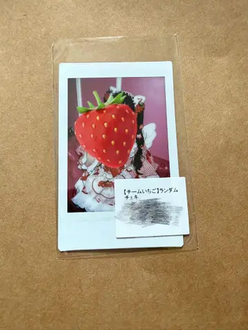 팀 딸기 신기루 아무 폴라로이드
