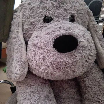 커다란 강아지 88cm