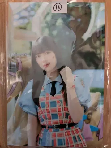 미야코시 유리아 패널