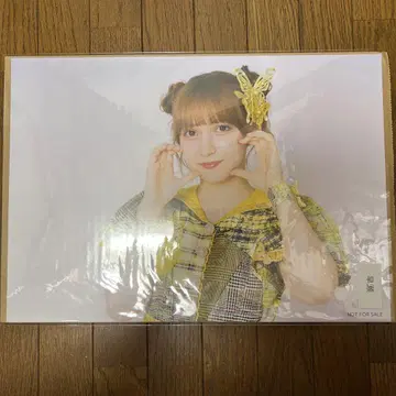FRUITS ZIPPER 하야세 노엘 MUVUS 온특 A3 포스터