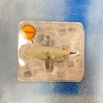 BUMP OF CHICKEN 비행선 키링