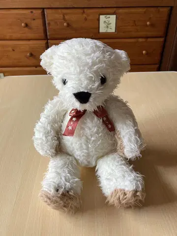 곰 봉제 인형