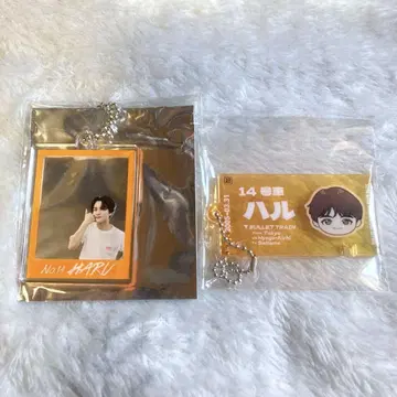 초특급 EVE 하루 세트 14호차