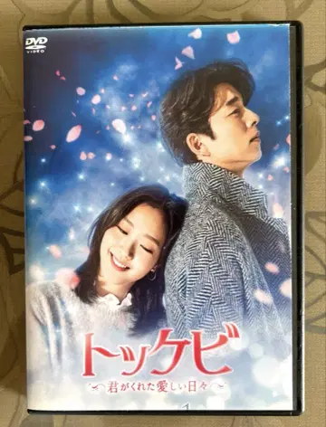 도깨비~네가 준 사랑스러운 날들~dvd 전권 세트