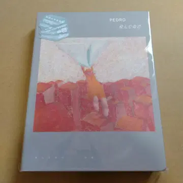 PEDRO 날아올라 초회 한정판 미사용 새상품