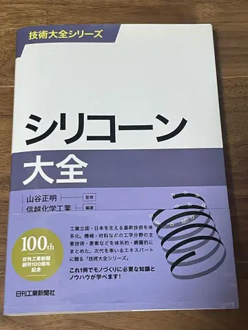 실리콘 대전