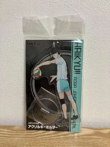 하이큐 오이카와 아크링 키링