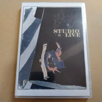 PEDRO 로망 STUDIO LIVE DVD반