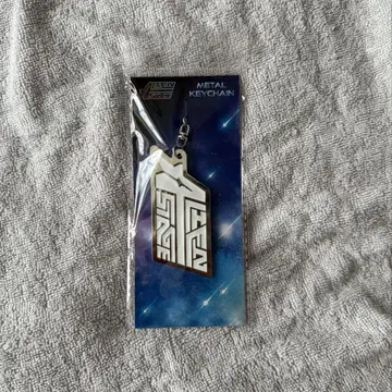 가격 인하 가능 ALIENSTAGE ALNST 메탈 키링