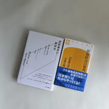 세계 경제의 사각지대, 자산 격차의 경제사
