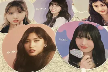 TWICE 모모 부채 5장 묶음 판매