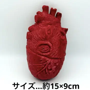 인체 심장 스퀴즈