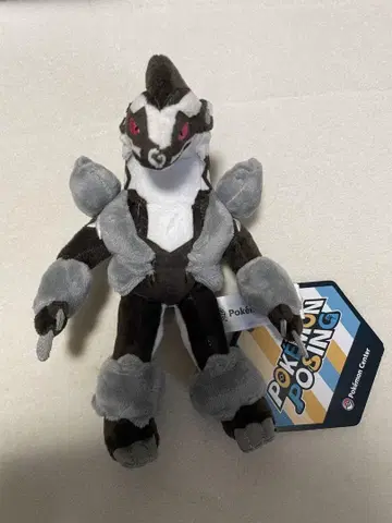 타치후사구마 봉제 인형 pokemon posing